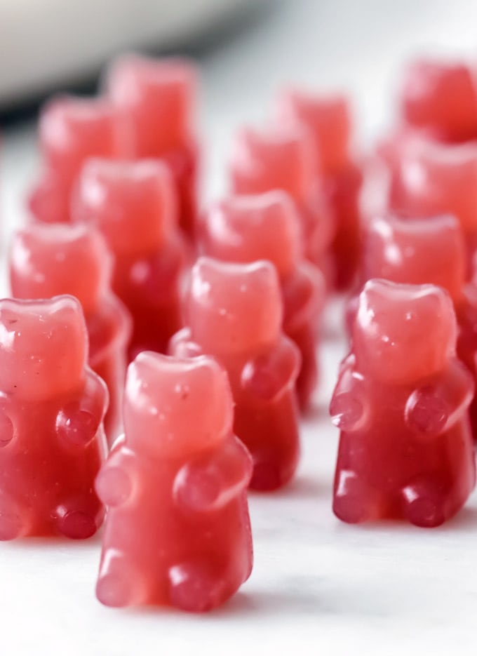 sugar free gummy bears