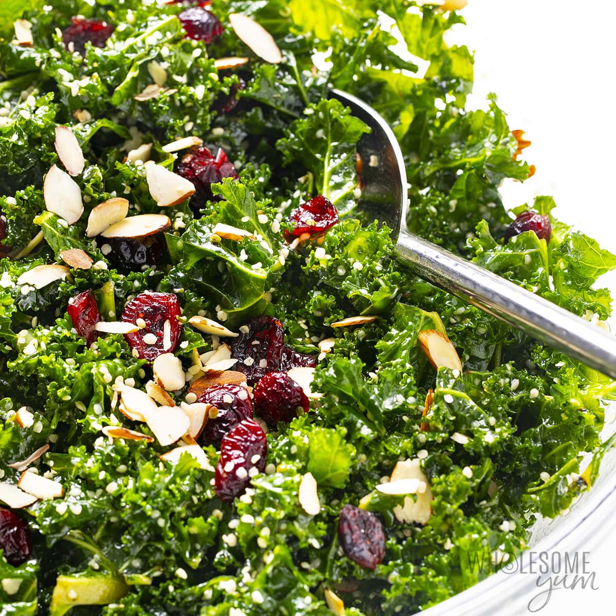 low carb kale salad